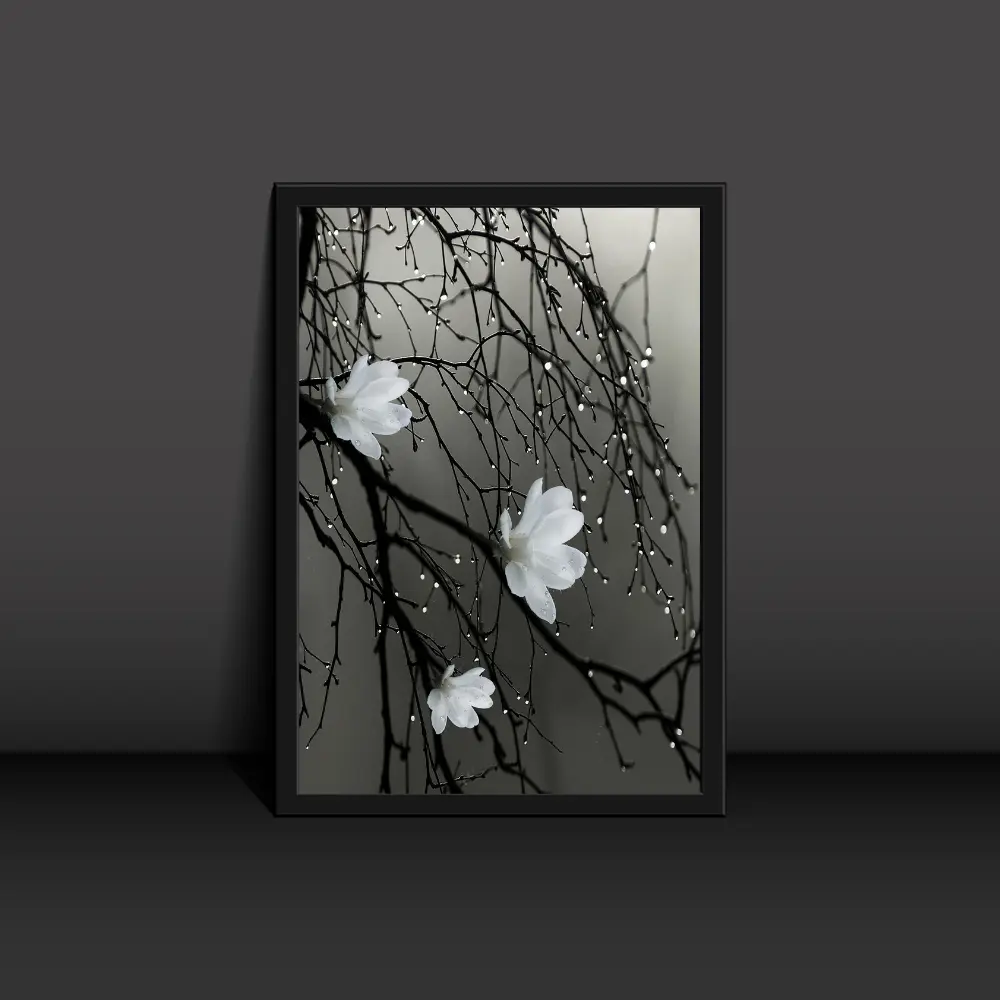 Beautiful White flowers with Rain Poster Modern Art